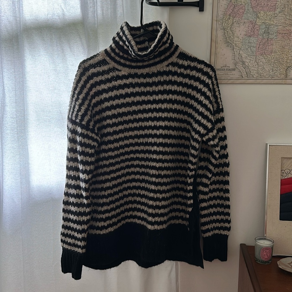 Everlane Striped Cloud Turtleneck Sweater
